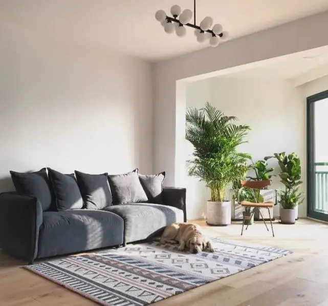 陽臺要不要裝推拉門？客廳和陽臺裝門與不裝門的優(yōu)缺點(diǎn)